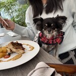 ザ ストリングス表参道 - 