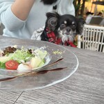 ザ ストリングス表参道 - 