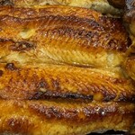 うなぎ 和友 - 鰻アップ