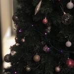 French Italian 桜moon - 