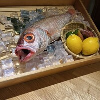 のどぐろ専門 銀座 中俣 - 