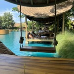 Bubble in the forest - 