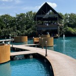 Bubble in the forest - 