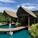 Bubble in the forest - 