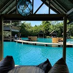 Bubble in the forest - 