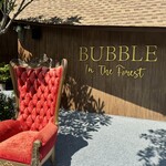 Bubble in the forest - 
