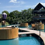 Bubble in the forest - 