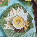 Bubble in the forest - 