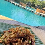 Bubble in the forest - 