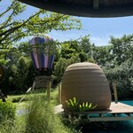 Bubble in the forest - 