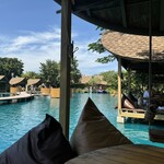 Bubble in the forest - 