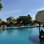 Bubble in the forest - 