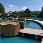 Bubble in the forest - 