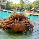 Bubble in the forest - 