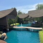 Bubble in the forest - 