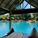 Bubble in the forest - 