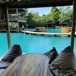 Bubble in the forest - 