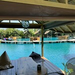 Bubble in the forest - 