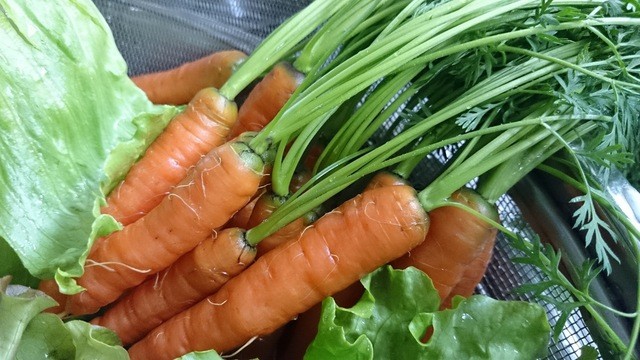 トラットリアリパージオ（trattoria LIPAGIO） - 中央弘前（イタリアン）の写真