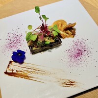 地球星 - 