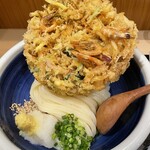 本格手打 もり家 - 