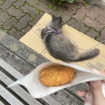 軽井沢のころっけやさん - 