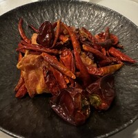 CINA New Modern Chinese - 