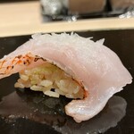 札幌 鮨 よこ田 - 