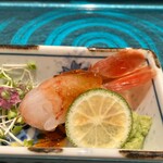 札幌 鮨 よこ田 - 