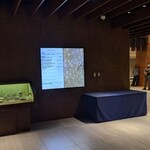 函館国際ホテル - 