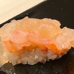 札幌 鮨 よこ田 - 