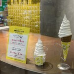 BAKE CHEESE TART Ekie Hiroshima Ten - 