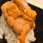 札幌 鮨 よこ田 - 