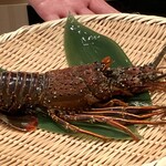 札幌 鮨 よこ田 - 