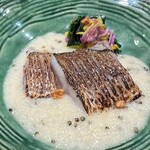 鮨ト酒肴 富かわ - 