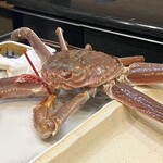 うを徳 - 鳥取の松葉がに