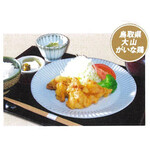 百福特製鶏天定食〈鳥取県大山がいな鶏〉