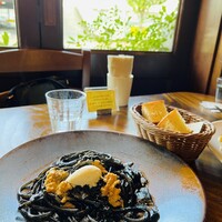 フィーコディンディア - 