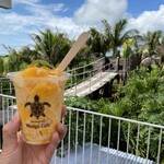 Blue Turtle Farm Mango Cafe - 