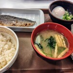 すき家 - 料理写真:塩サバ混ぜのっけ小盛り460円。