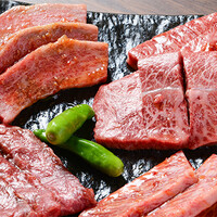 ヤキニクです。 YAKINIKU KAISEN NIKUSAKANA UMEDA HIGASHIDORI, Osaka - Menu