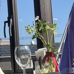 JiProign - 去年ここで観た土浦花火を打ち上げる桜川畔はあのパラボラの先あたりにある。今年はうっかり忘れていたけれど、話を聞かないので調べると、なんと中止になったと言う。中止？順延でもなく？アンビリーバボー！！