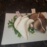 シャングリラズシークレット 銀座店 - 