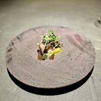 YANAGI TePPaN UNBORN GASTRONOMY - 
