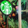 スターバックスコーヒー 札幌アピア店