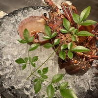 喜扇亭 名古屋ミッドランドスクエア店 - 