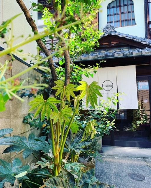 Kyomachiya Izumo Kanoka