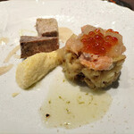 ビステリア サトッロ - 