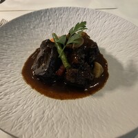Loiseau de France - 