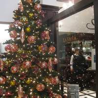 揚州名菜 秦淮春 - 三笠会館１階のクリスマスツリー